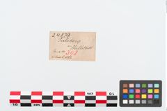 Etiketten zu Bronzerollenkopfnadel (NHMW-PRAE-024879)